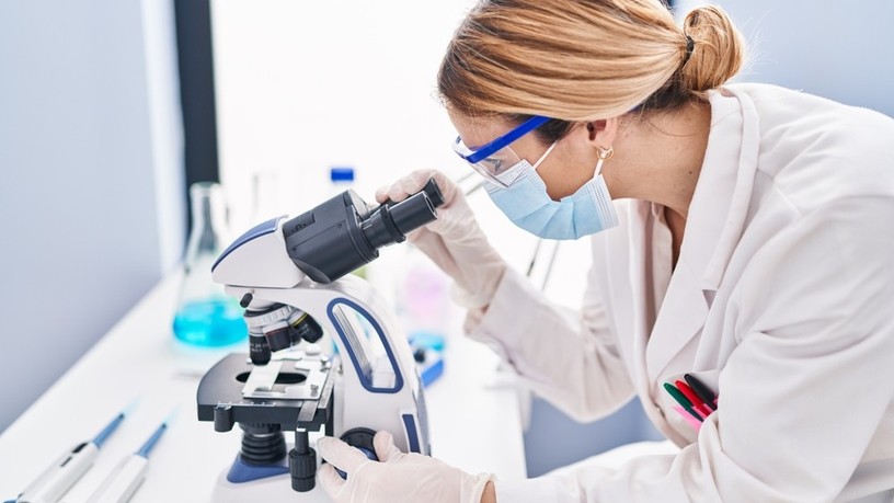 őssejtek, donor, rák, daganat kezelés, innováció