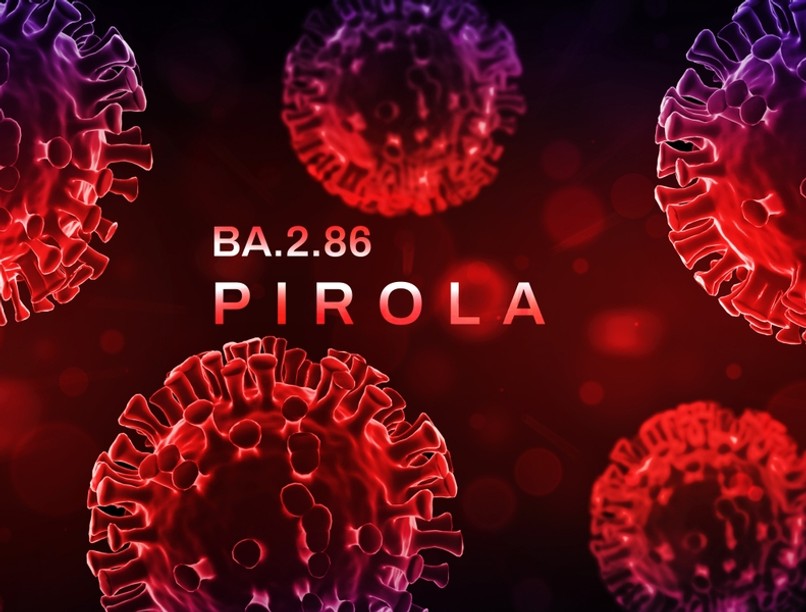 Pirola koronavírus új mutáció varians