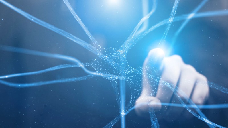 Kék fényű fotoreceptorok a gyógyítás szolgálatában: nemzetközi kutatás indult a PTE vezetésével