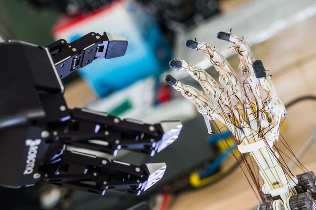 Bionikával az életminőség javításáért