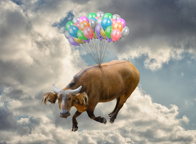 Abszurd baleset: repülő tehén ölt meg egy sínekre vizelő nyugdíjast