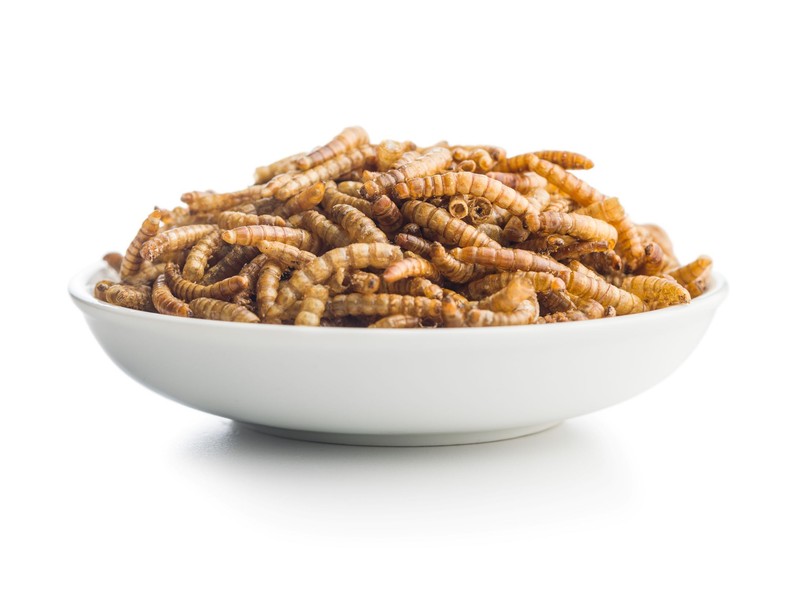 méregtelenítés múlt régen féreg 