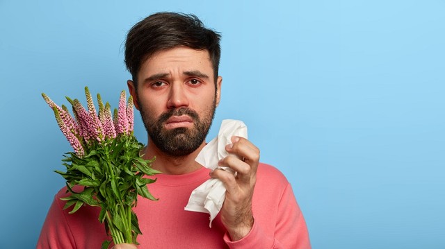 7+1 tuti tipp a pollenallergiásoknak!