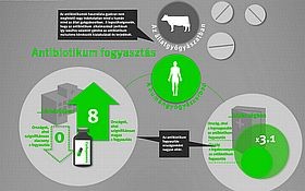 Korrupció is állhat az antibiotikum-rezisztencia mögött?