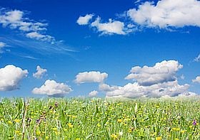 Veszély: gyerekek és fűnyírók