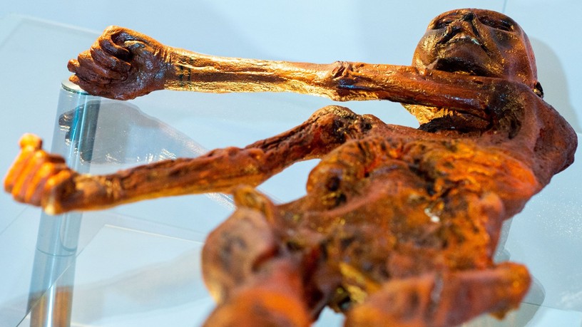 Ötzi jégember kutatás élet