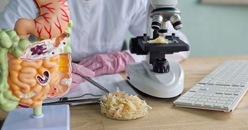 Hogyan változtathatja meg a cukor elhagyása a bélmikrobiomot? Nem lett jó vége, drámai eredmények születtek!