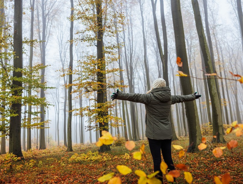 szorongás, stressz, erdő, séta