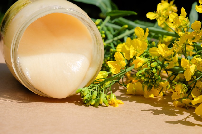 Repceméz - krémméz: a leginkább lúgos mézfajta, ezért gyomorsavasoknak is ajánlott