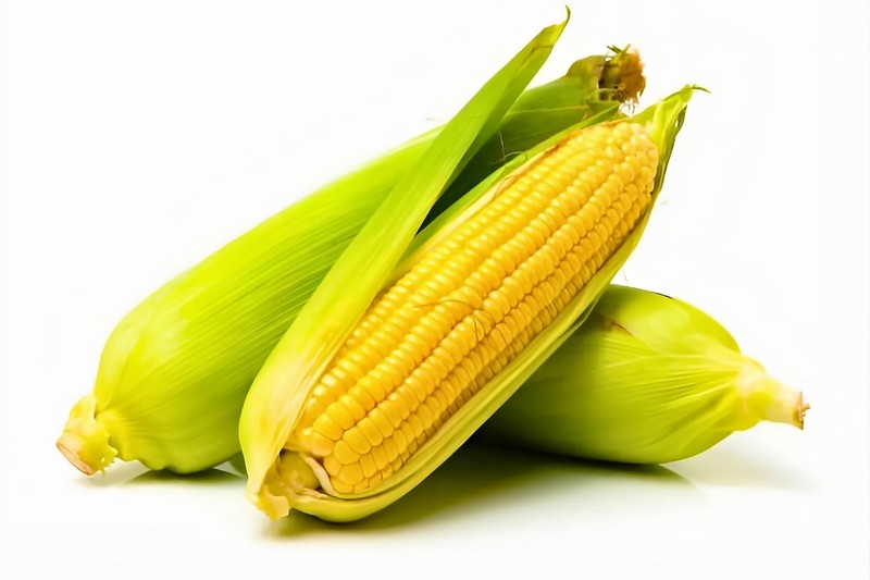 Szemkárosodás ellen csemegekukorica? A Debreceni Egyetem kutatói szerint segíthet