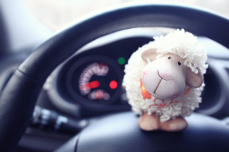 Bárányhúst evett, majd fizetés nélkül elszaladt: a pincér beült a BMW-jébe, és 3 órás hajsza után utolérte