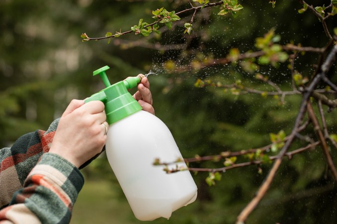 Nébih: az egészséget is veszélyeztethetik a hamis növényvédő szerek című cikk nyitóképe
