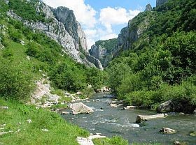 Csaknem hatezer vizsgálatot végeztek Erdélyben önkéntes orvosok