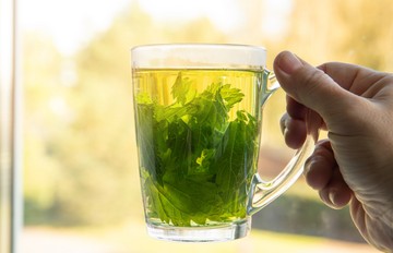 Mire jó a csalán? Nem csak gyulladáscsökkentő: így használja szénanátha ellen