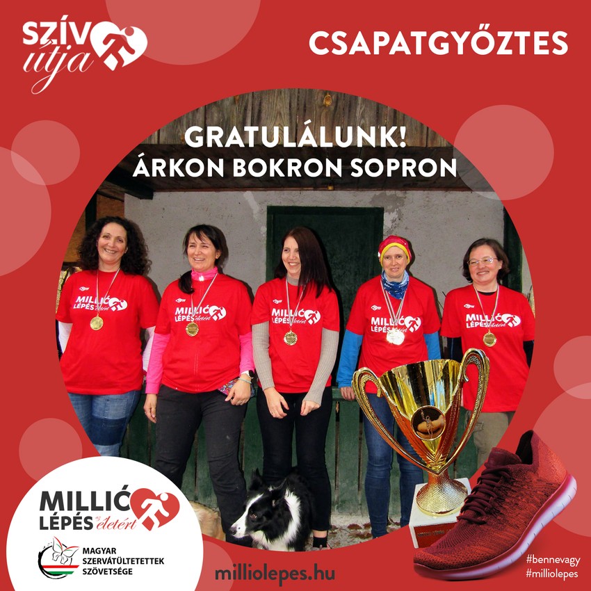 A Millió lépés az életért idei 10 hetes kihívásának csapatgyőztesei