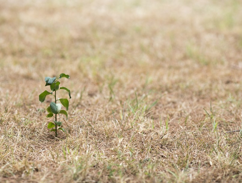 klímaváltozás felmelegedés éghajlat aszály