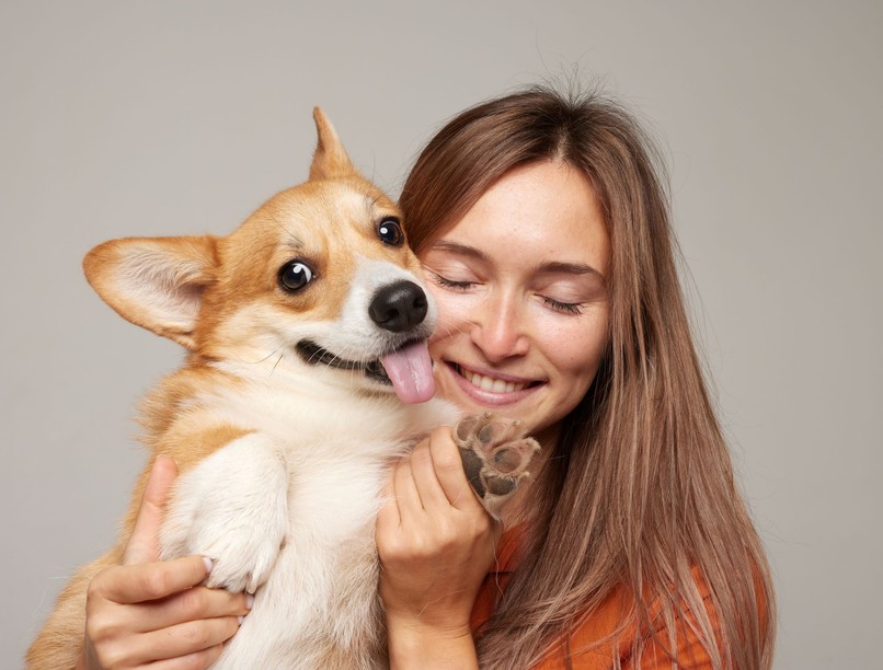 kutya kötődés gazdi kapcsolat