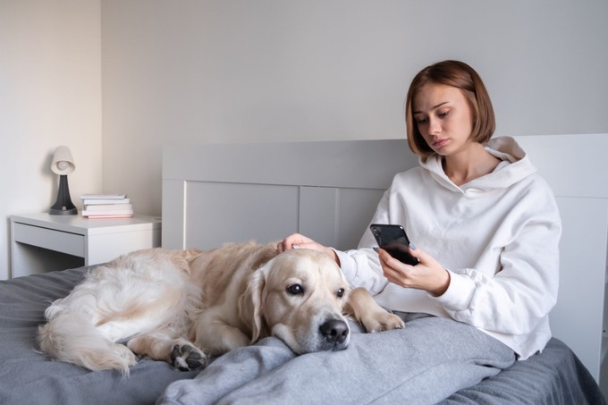 Négylábú antidepresszánsok: ezért csökkenti a kutyatartás a stresszhormonokat és a magányt című cikk nyitóképe