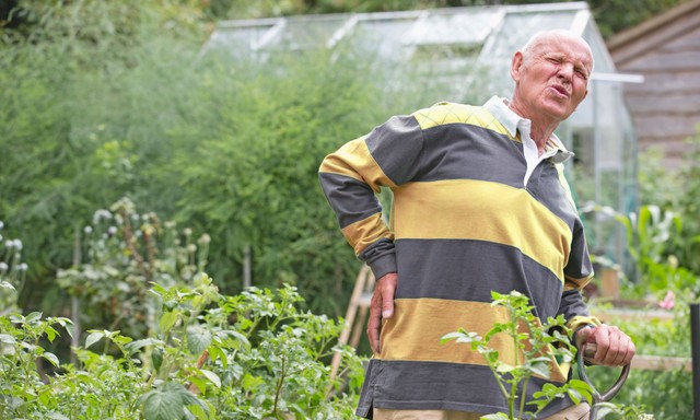 Gyönyörű lett a kertje, de cserébe sajog a dereka? Ezt teheti derékfájdalmak ellen