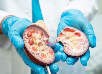 Másfél millió magyar veséje lehet veszélyben – sokan nem is tudnak róla című cikk nyitóképe