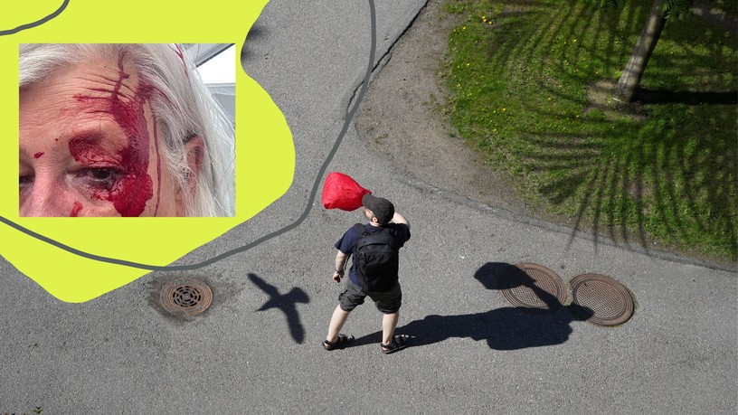 madár sirály támadás madártámadás sürgsségi