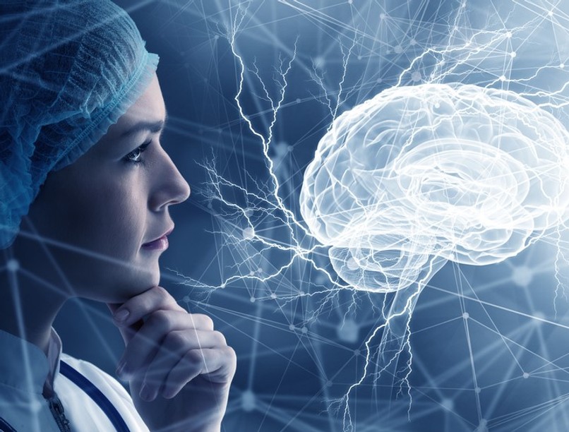 agy, kutatás, neurológia, döntés, modell alapú tanulás