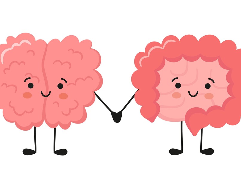 bél-agy-tengely, mikrobiom, idegrendszer, bélflóra