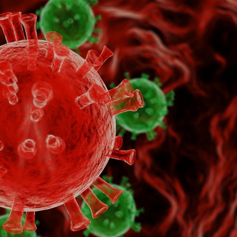 Trójai faló a bélrendszerben: ez a vírus segíthet időben felismerni a vastagbélrákot című cikk nyitóképe