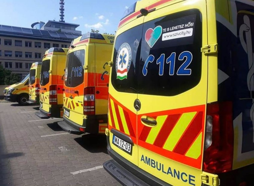 Az anafilaxiás sokk egy súlyos allergiás reakció, amely akár halálos is lehet. Ha nincsen nálunk a gyógyszer, azonnal mentőt kell hívni.