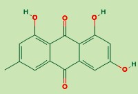 Gyógynövénnyel a cukorbetegség ellen