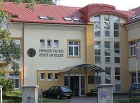 Csődközeli helyzetben a Pető Intézet