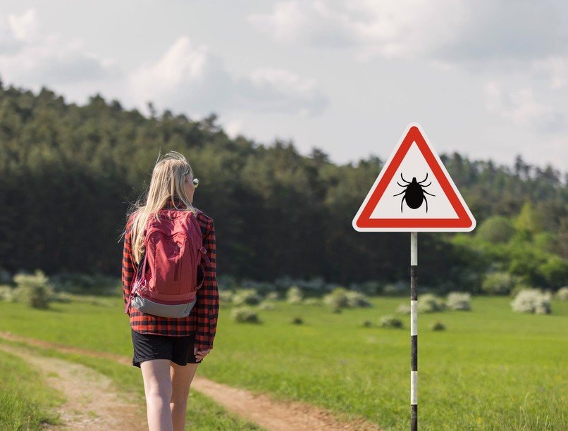 fertőző betegségek új kullancs fertőzés ehrlichiosis
