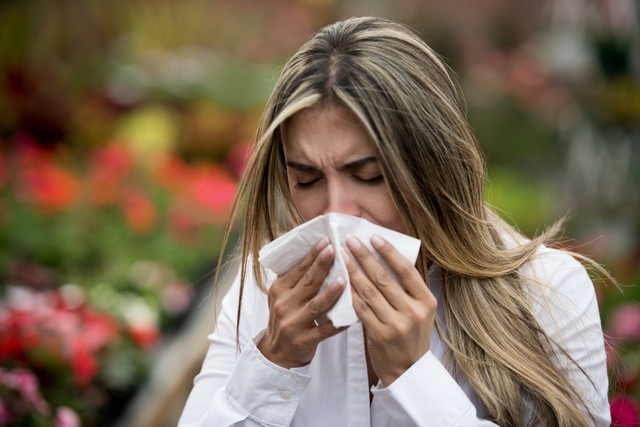 Pollenallergia vagy megfázás? Így lehet kideríteni a szakorvos szerint
