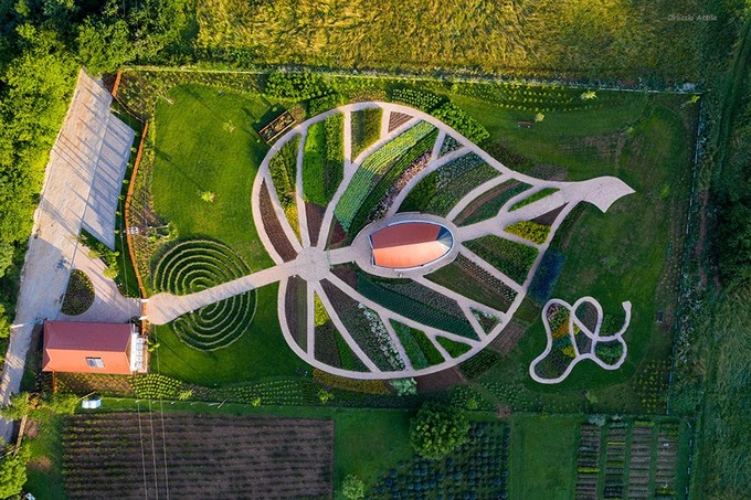 Gyönyörűen megújult Gyuri bácsi gyógynövényes kertje című cikk nyitóképe