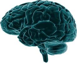 Elemzés: memóriazavartól - az elbutulásig