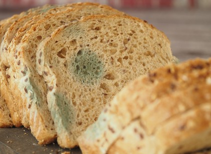 Tegyen egy kockacukrot a kenyér mellé - meglepően sokáig friss maradhat tőle című cikk nyitóképe