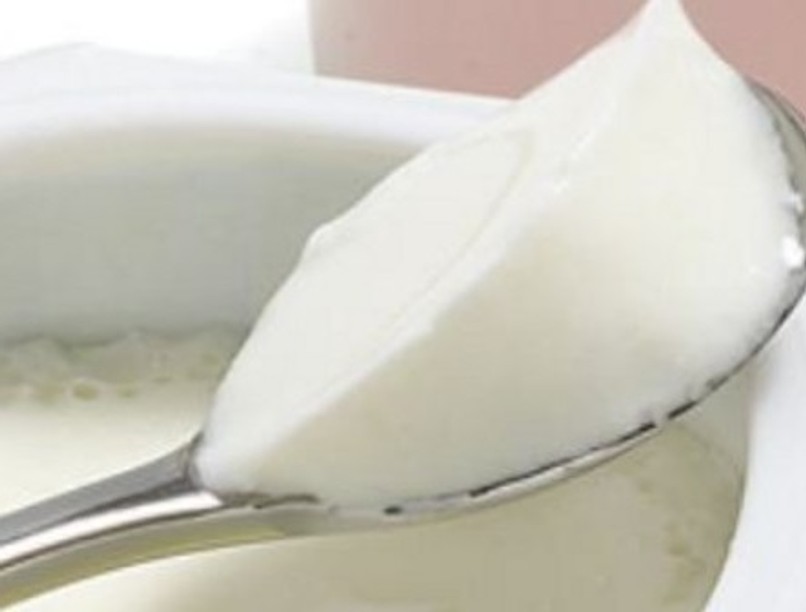 nizo-and-optibiotix-join-forces-to-produce-weight-management-yoghurt_0