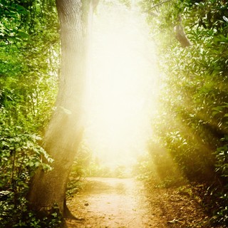 Milyen érzés meghalni? A kutatók szerint nem olyan rossz, mint hittük című cikk nyitóképe