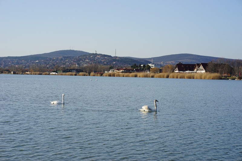 A Velencei-tó gyorsabban melegszik, mint a levegő