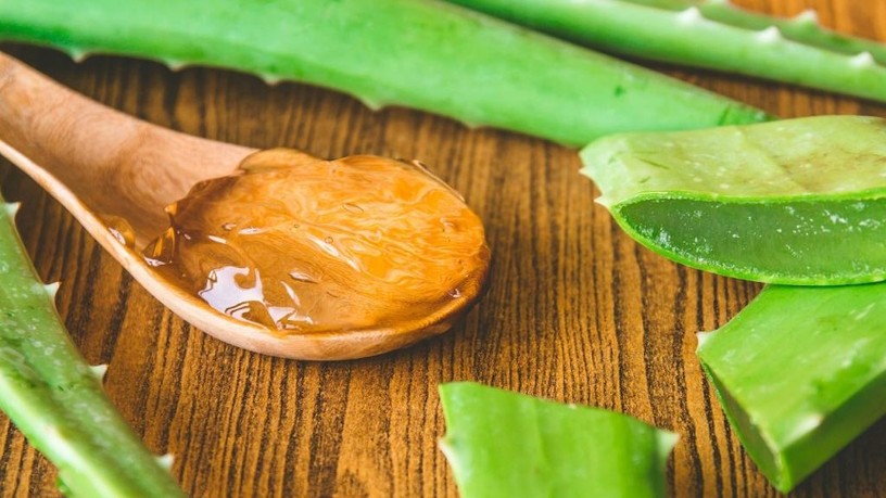aloe_vera
