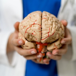 Öt korszakon megy át az emberi agy – a tudósok szerint ezek az életünk igazi fordulópontjai című cikk nyitóképe