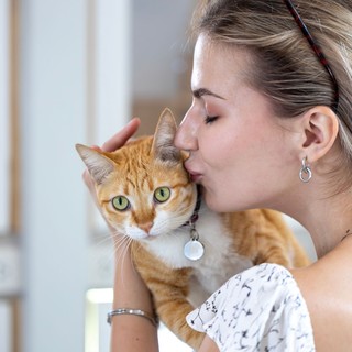 A macskája tényleg szereti a puszikat és az ölelést? Meglepő, mit gondolhatnak erről a cicák című cikk nyitóképe