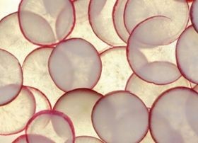 A makrobiotikus étel karban tart!