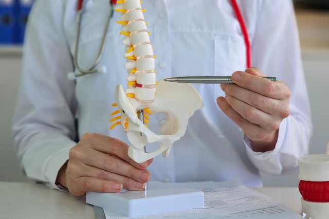 Debreceni Egyetem: vázrendszeri kutatások a gyógyítás szolgálatában