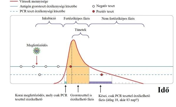 Koronavirus tesztek működése