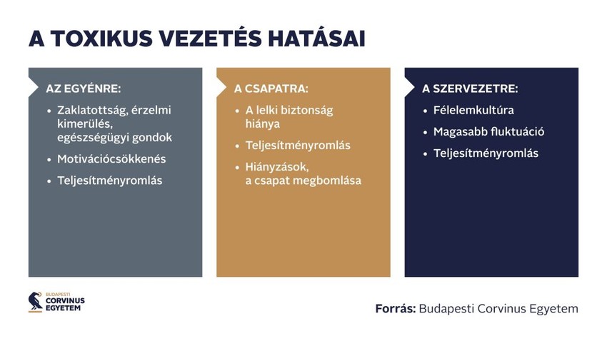 A toxikus vezetés hatásai