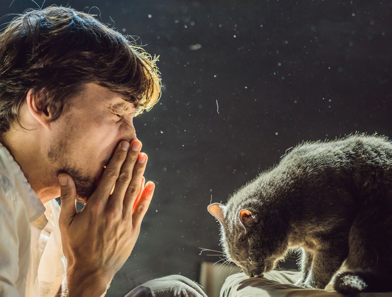 allergia, állatszőr, pollen, nátha, szénanátha