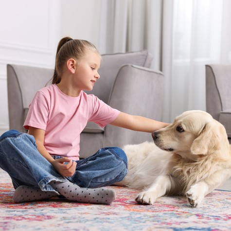 Videón a figyelmeztetés: a kutya próbált szólni, de senki nem értette - majdnem megsérült ezért a kislány című cikk nyitóképe