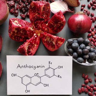 Rákbetegségek: ezért mennek szembe az antioxidánsok a kezelésekkel! című cikk nyitóképe