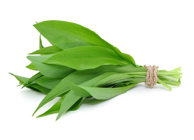 Medvehagyma – több, mint egy ízletes fűszernövény